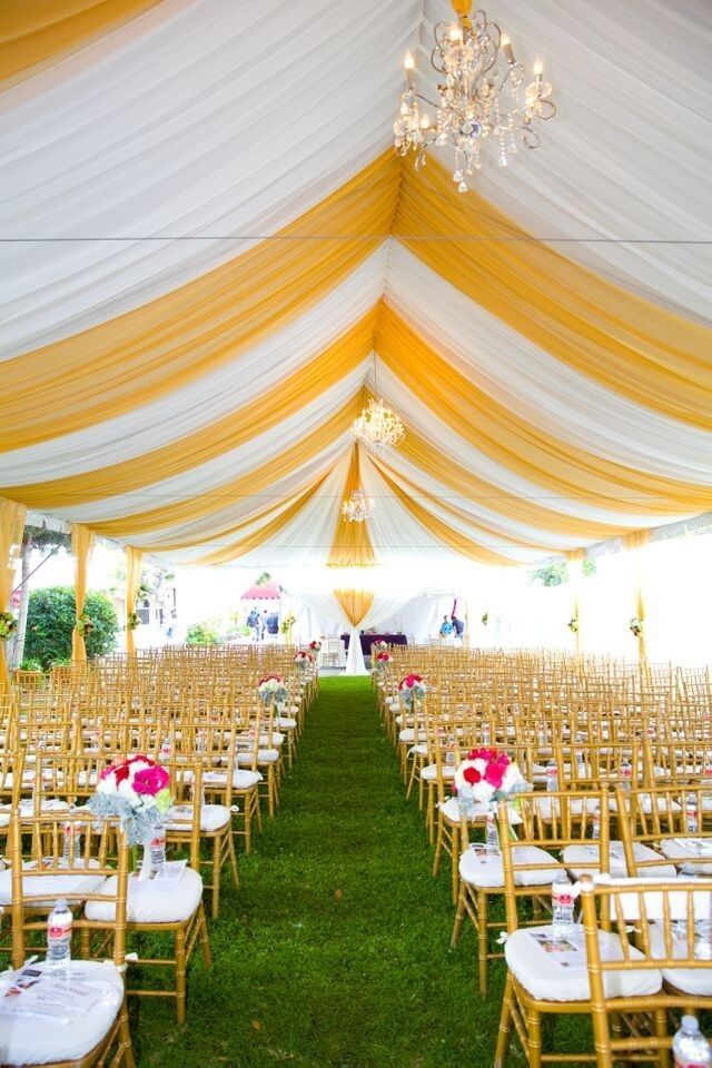 Popular Tents